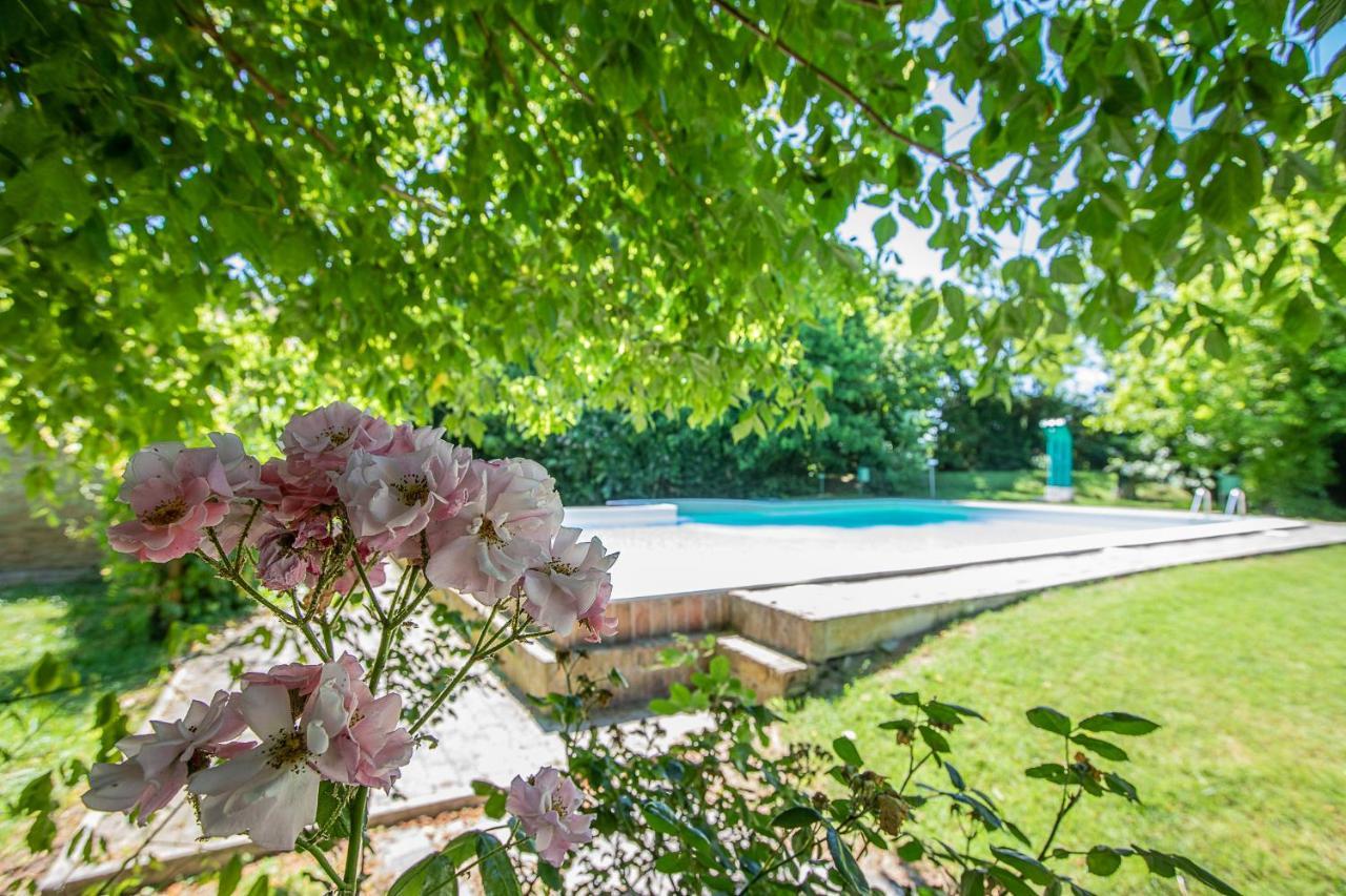 Borgo Del Nibbio Apartment Porto Levante Exterior foto